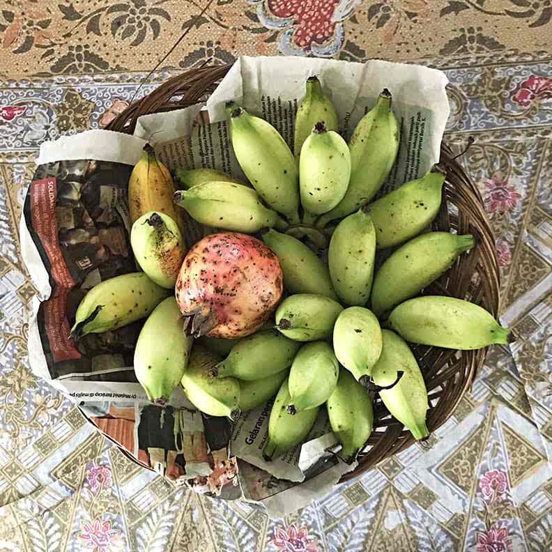Pesticide-free tropical fruits, Lumut seaside town, Malaysia. © Zarina Holmes Photography food photography tips