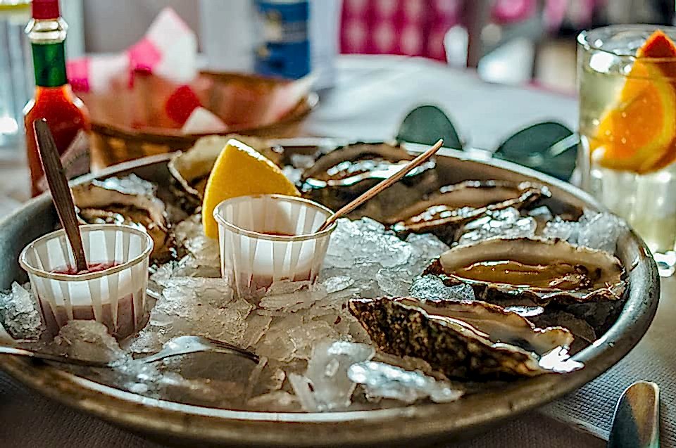Native oysters, Whitstable, Canterbury, UK. © Zarina Holmes Photography oysters in ice bucket