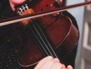 Violin - Beginners