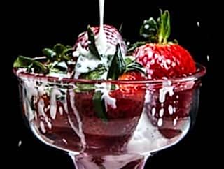 Food Photography Courses