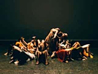 Contemporary Dance Company