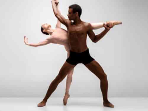 Advanced / Professional Ballet Course - 1 Year