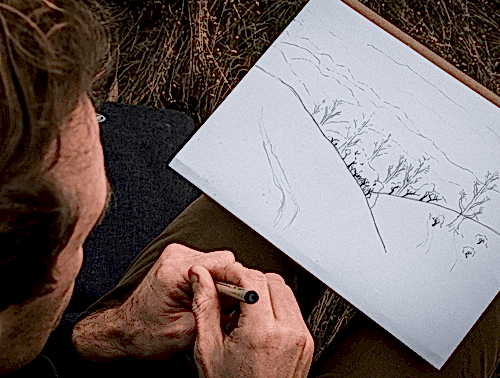 Drawing for Mindfulness