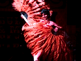 Burlesque Classes