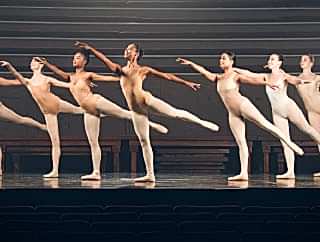 Advanced / Professional Ballet Course - 6 Months