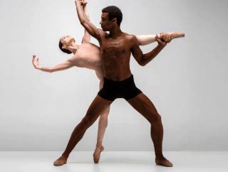 Advanced / Professional Ballet Course